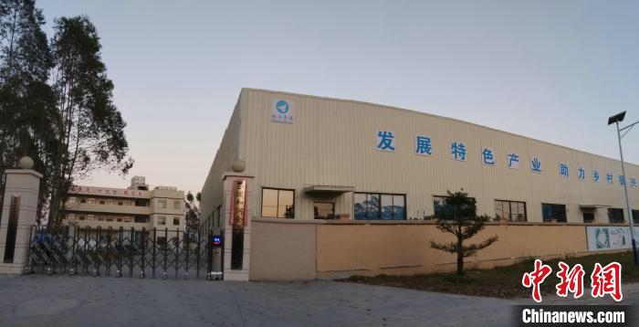 广西合浦肉鸽屠宰加工冷链项目冲刺第四季度，农地入市助力农民增收