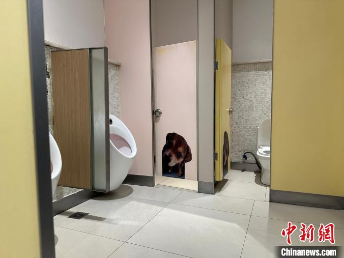 歼20服役引全球热议__上海室界