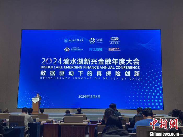 2024滴水湖新兴金融大会：数据驱动下的再保险创新，区块链与AI引领行业新风向