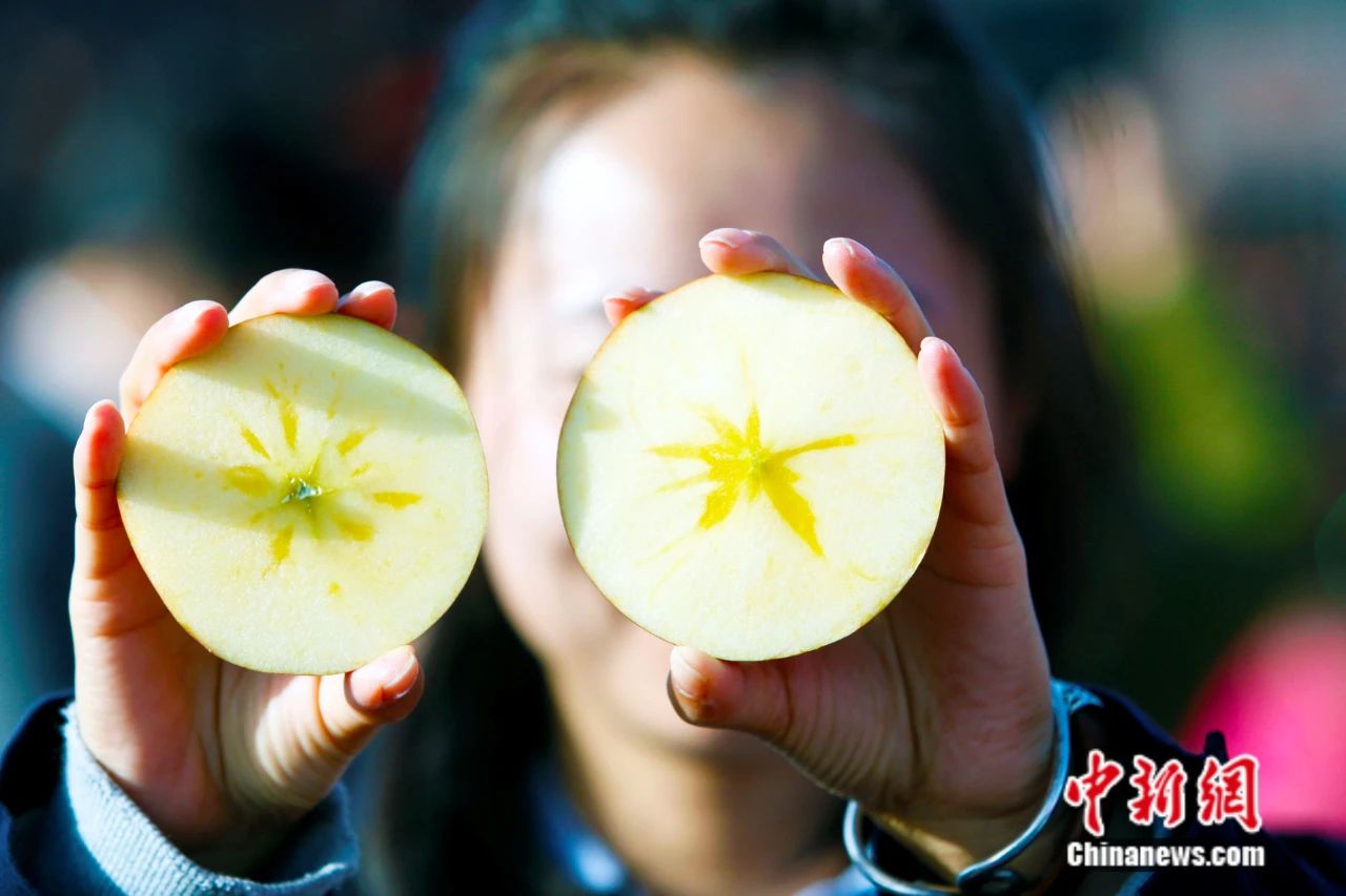 _新疆苹果叫什么名字_新疆苹果城是哪里