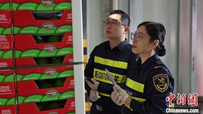 全国首批南非进口牛油果抵沪，中非农产品贸易再添新彩