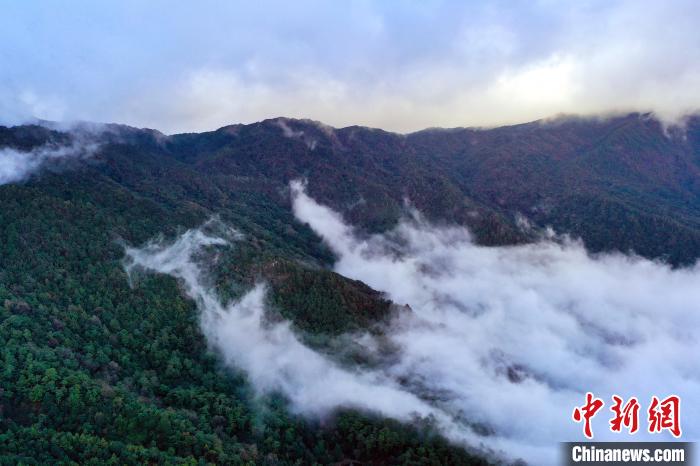 哀牢山变网红景区引关注，神秘面纱等你来揭开