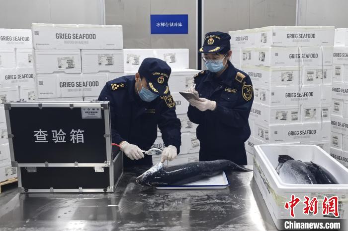 前三季度南昌昌北机场国际货邮吞吐量同比增长 61.7%，你贡献了多少？