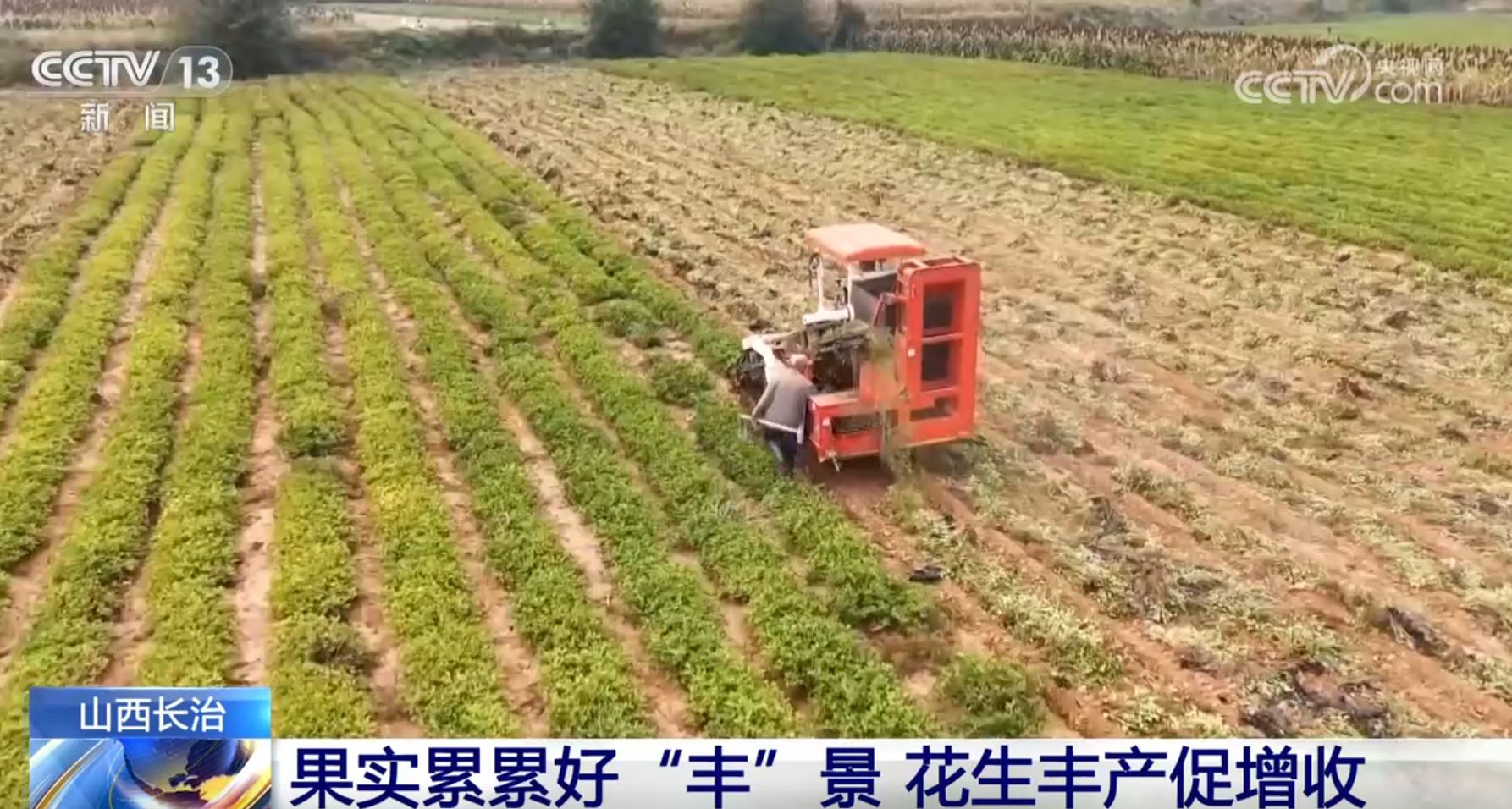 _金秋时节话诚信手抄报_青山田野庆丰收