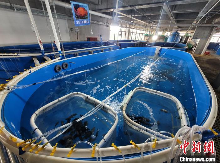 200 余人齐聚海南文昌，探讨水产养殖业上岸下海新方向