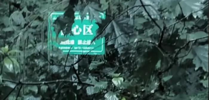 违法咨询律师会不会被律师举报__能去违法律师网上投诉吗