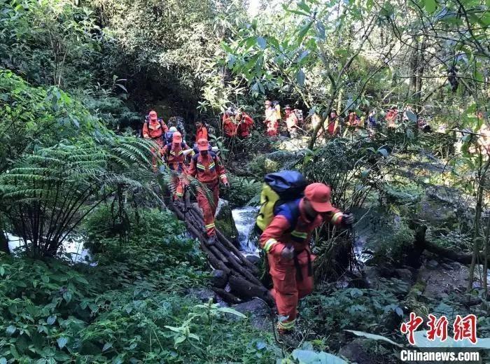 违法咨询律师会不会被律师举报_能去违法律师网上投诉吗_