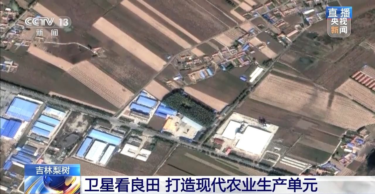 金秋十月，吉林梨树 300 多万亩玉米喜迎丰收，你想知道今年收成咋样吗？