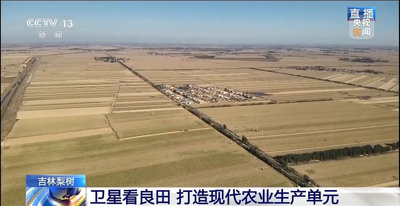 _北玉米南水稻 藜麦也来凑热闹 共绘金秋好“丰”貌_金秋时节满田的水稻熟了