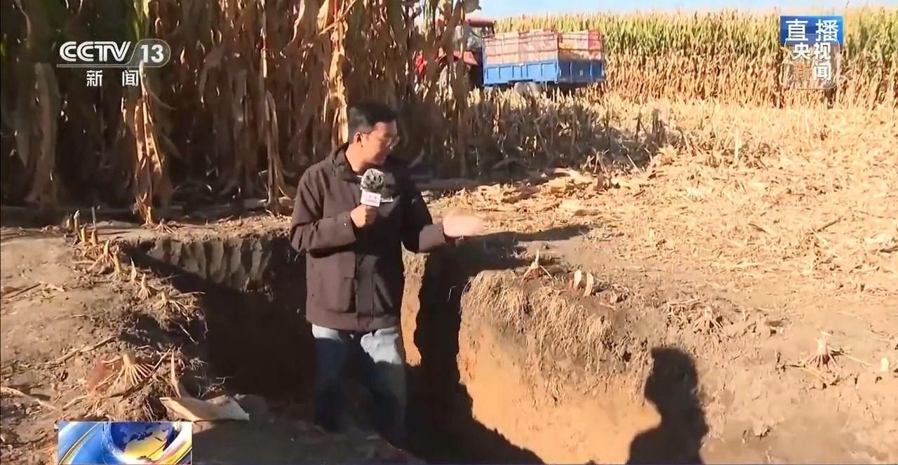 北玉米南水稻 藜麦也来凑热闹 共绘金秋好“丰”貌__金秋时节满田的水稻熟了