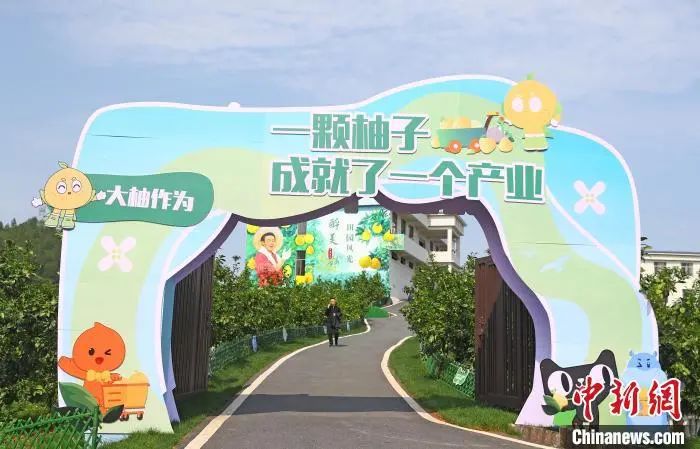 这座“柚”香“柚”甜的小城,有何致富密码?_这座“柚”香“柚”甜的小城,有何致富密码?_