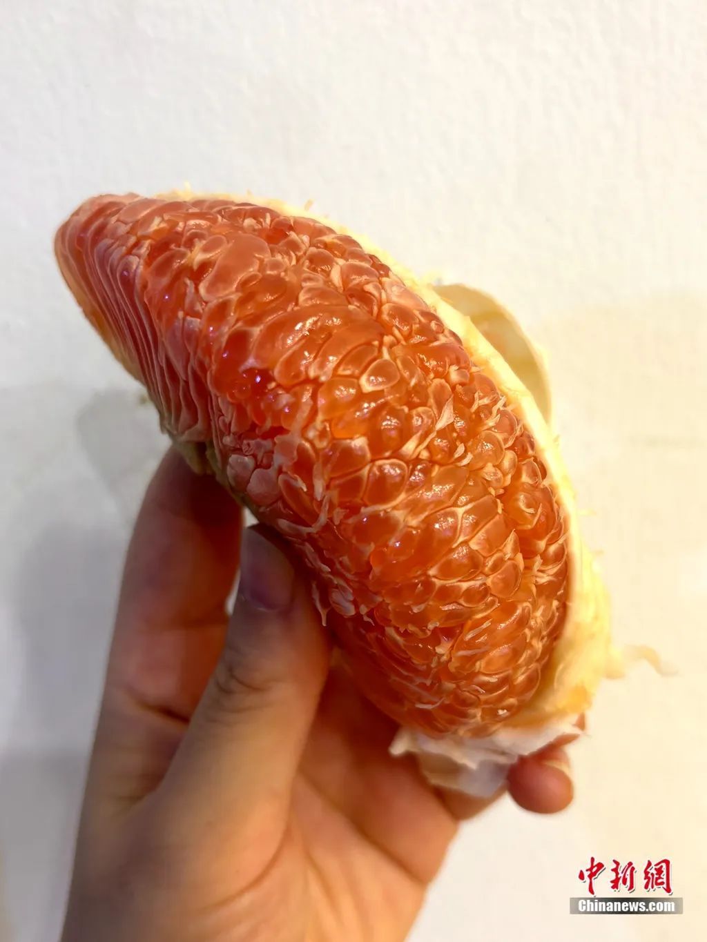 这座“柚”香“柚”甜的小城,有何致富密码?_这座“柚”香“柚”甜的小城,有何致富密码?_