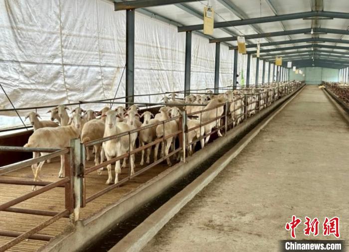 南昌一果蔬种植基地占地 500 余亩，每天果蔬销量 4000 斤左右，你敢信？