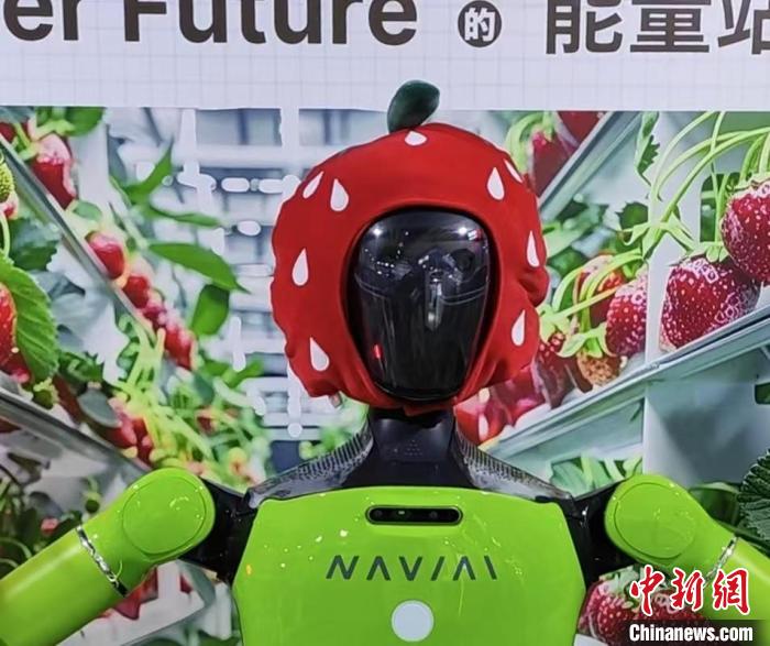 2024 年世界互联网大会乌镇峰会：AI 技术大放异彩，走进寻常百姓家