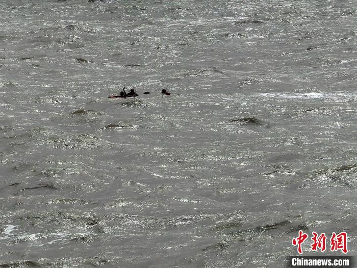 福建货船遇险沉没，5 名船员全部获救！海空救援奇迹上演