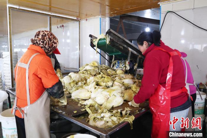 Z 世代非遗传承人张贵彪：百年酱菜厂，传承满族传统酸菜腌制技艺