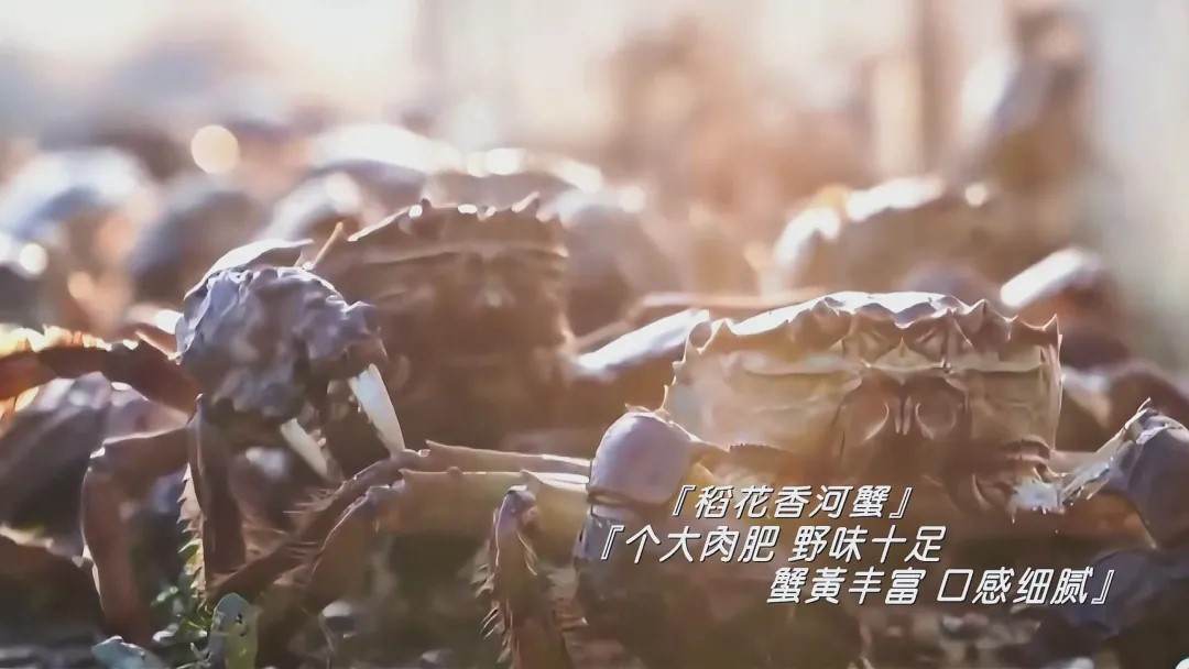_北纬域产品有没有效果_北纬域发热涂料怎么样