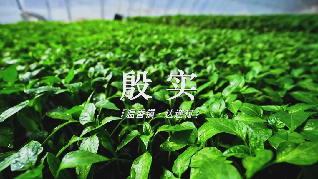 北纬域产品有没有效果__北纬域发热涂料怎么样