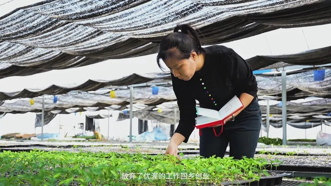 _北纬域发热涂料怎么样_北纬域产品有没有效果