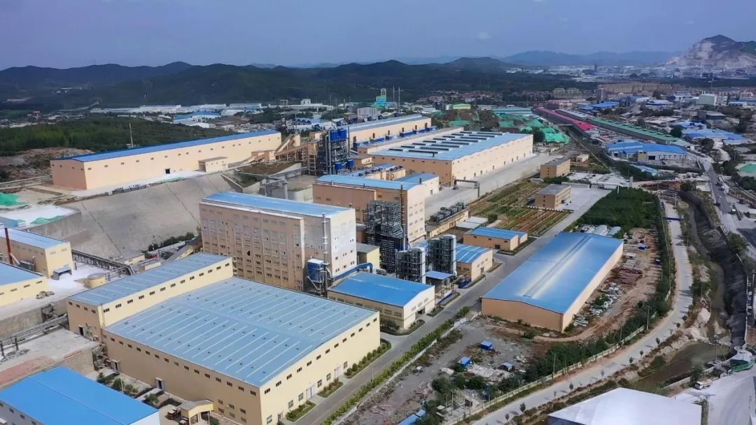 _单项冠军培育企业_单项冠军培育企业名单