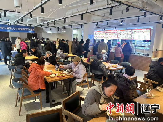 营盘小区骑手友好计划、河畔新城社区食堂、九里老年友好示范，资金缺口如何解决？