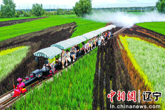 _沈阳的新区_沈阳新开发的区