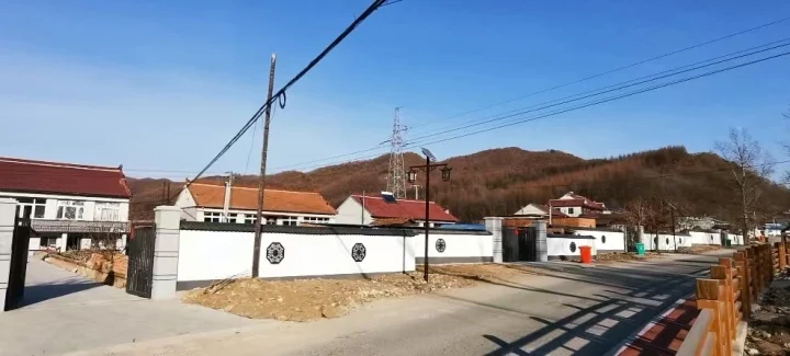 _引领乡村振兴新风尚_绘就乡村振兴新蓝图