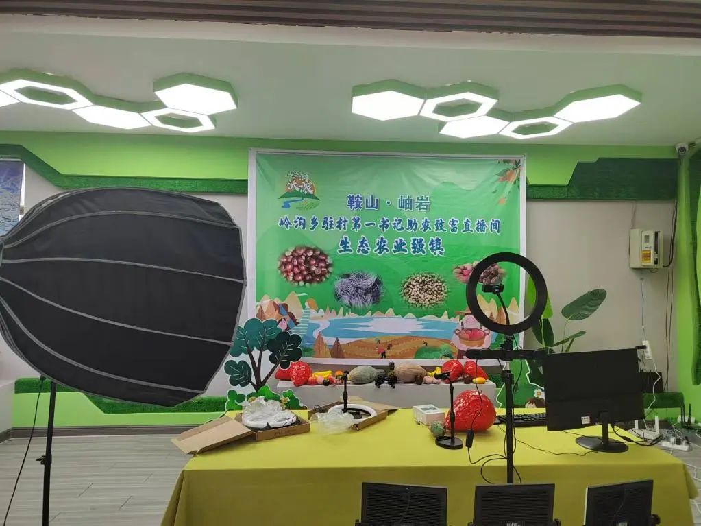 驻村干部变身直播达人，岫岩县如何用电商助力乡村振兴？