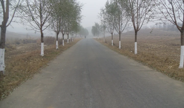 一条路如何成为致富路、幸福路、连心路、振兴路？海城市交通局给出了答案