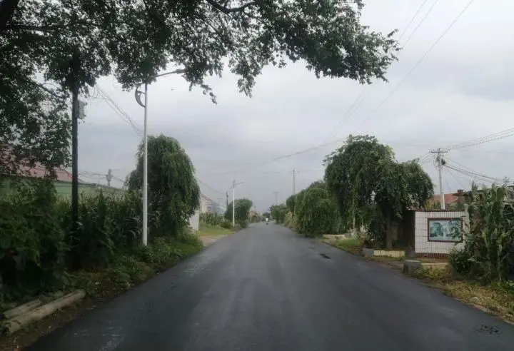 美丽农村路 铺就幸福新“途”景__美丽农村路 铺就幸福新“途”景