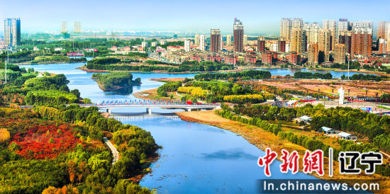沈北新区如何成为全市招商引资标杆？2025年决胜之战揭秘
