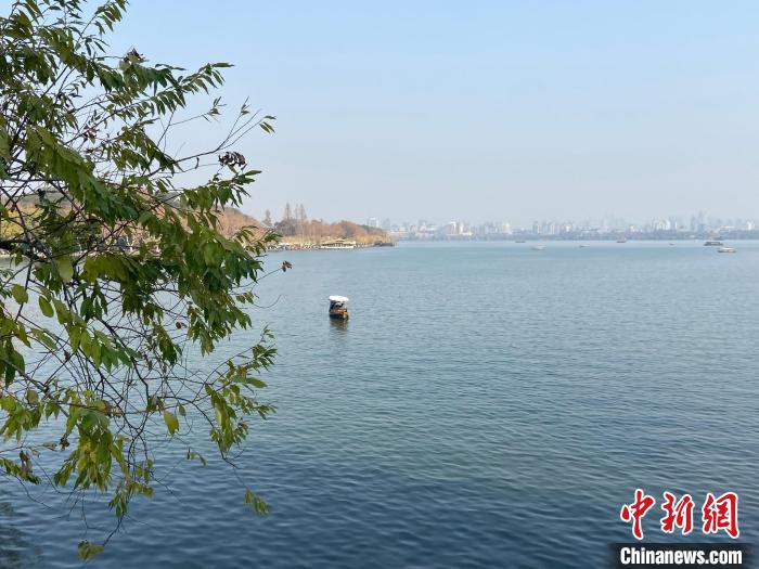 述评:乙巳蛇年 这对CP缘何成了新春“第一爆”?__述评:乙巳蛇年 这对CP缘何成了新春“第一爆”?